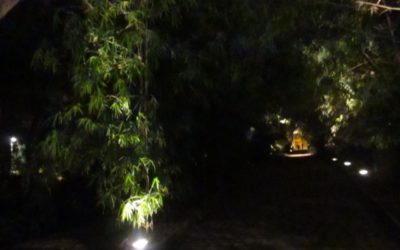 NOCHE OSCURA