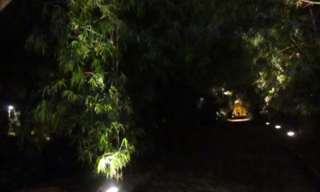NOCHE OSCURA
